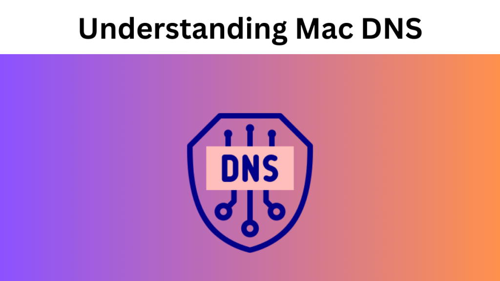 understanding-mac-dns-an-overview-of-domain-name-system-basics-mexseo